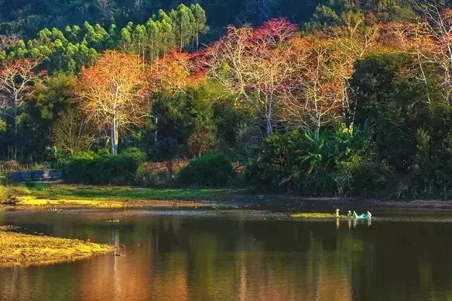 昌江原生态热带雨林森林秘境,海南万宁一个被大自然宠爱的地方