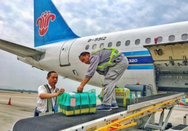 快递怎么运送狗狗,怎么运输狗狗