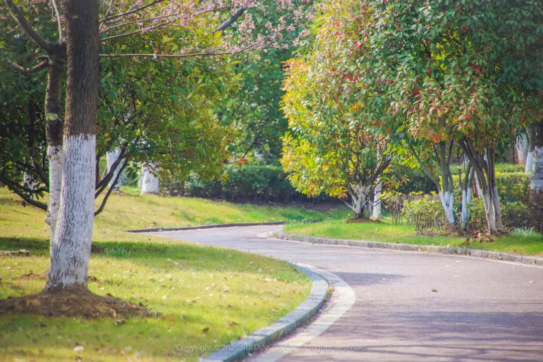 南京汤山哪里可以玩皮划艇,汤山矿坑公园三叠湖皮划艇