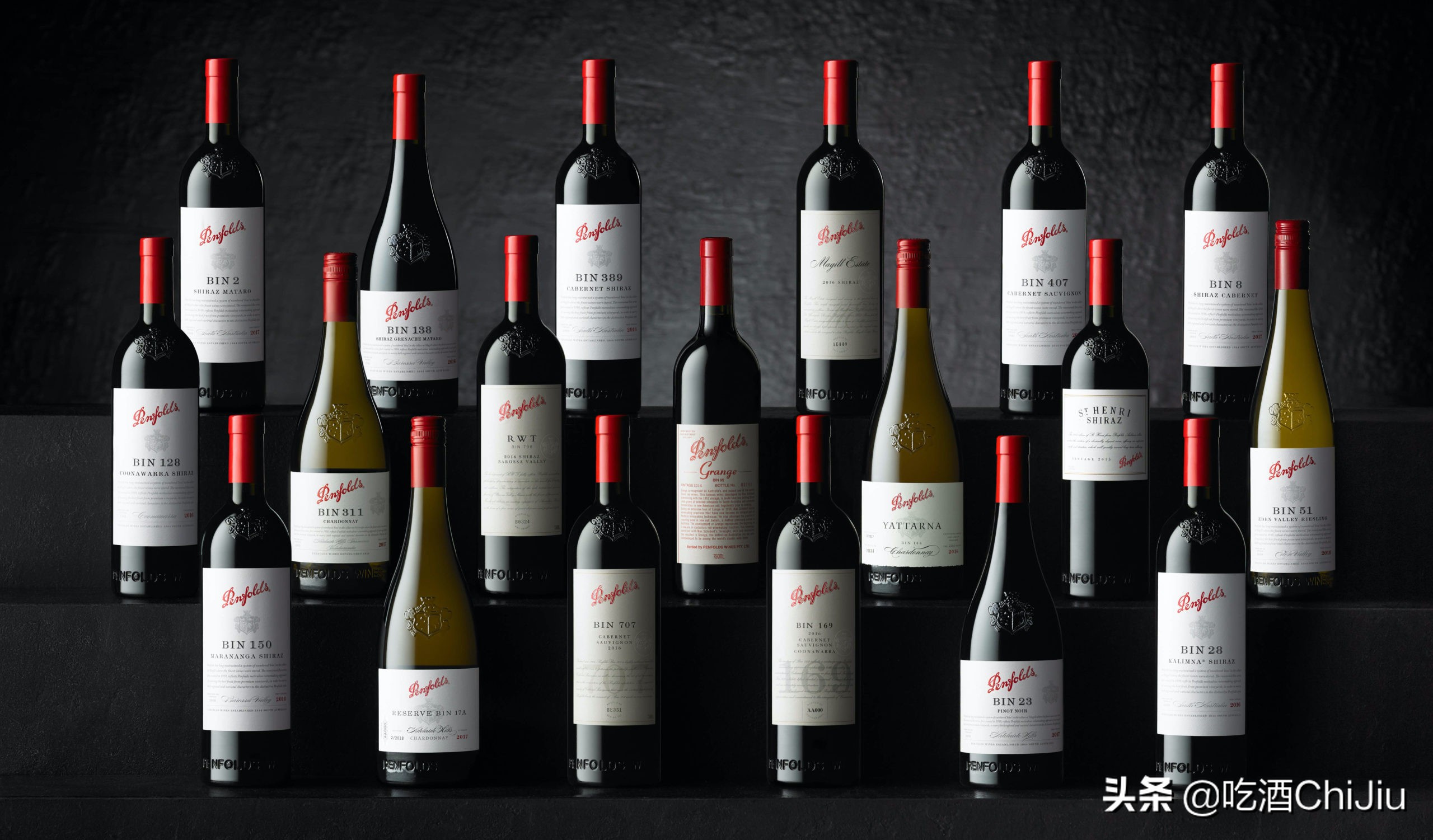 奔富红酒发展前景,奔富红酒属于什么系列的