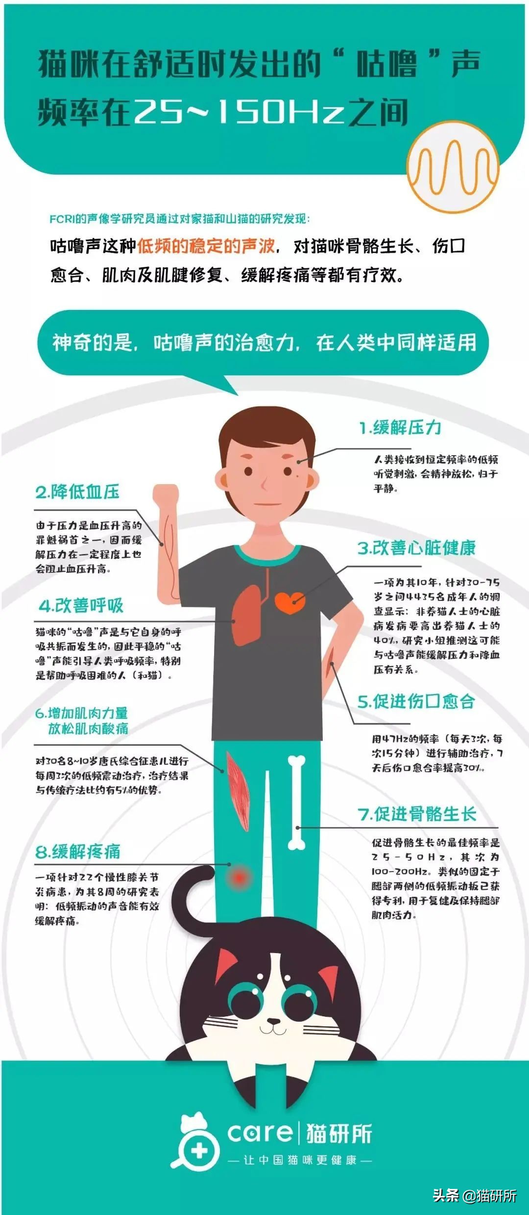 养猫好还是养狗好玄学,玄学上养猫有什么影响