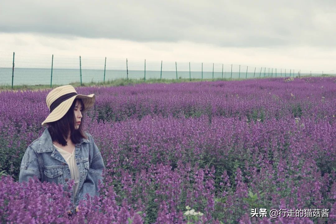 西宁旅游交通攻略路线,西宁避坑攻略