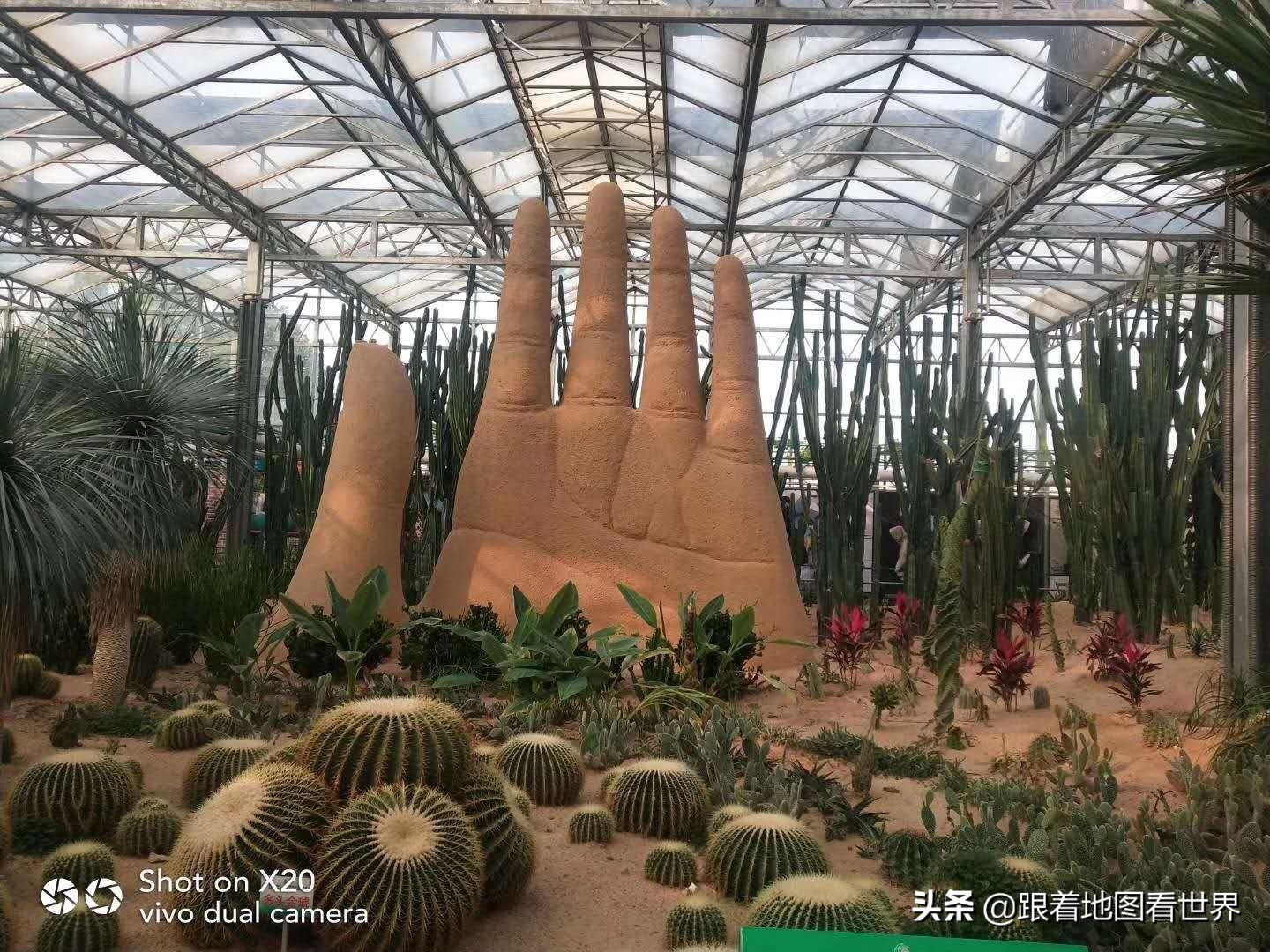 灌云特产内衣,灌云特产特殊内衣是什么