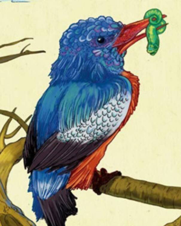 山海经西山经原文,山海经西山经完整版