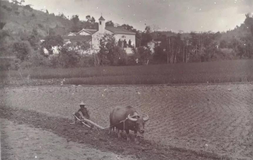 中国最厉害的法医,他是中国物理学第一人