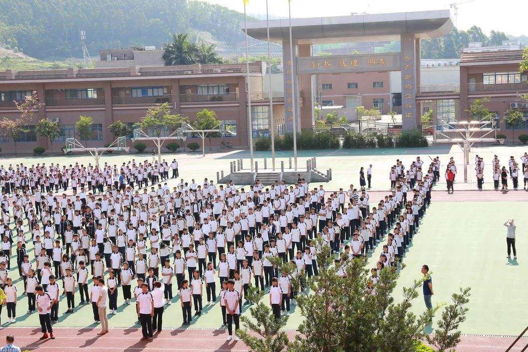 东莞公办好学校来几所,来看看大家眼中的学校
