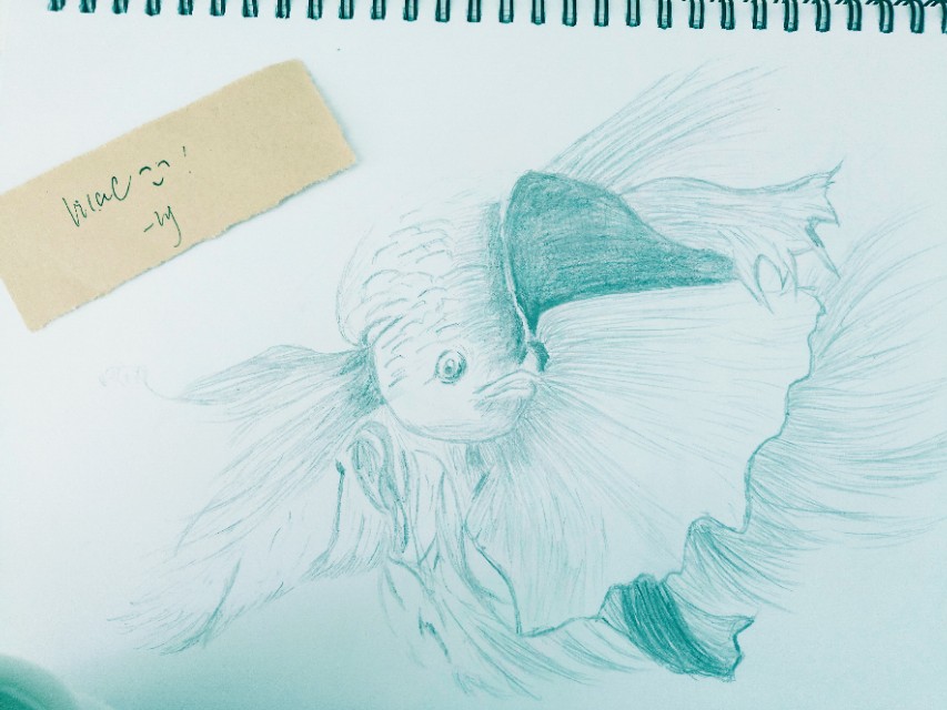 蔡崇达皮囊中的残疾,蔡崇达皮囊残疾