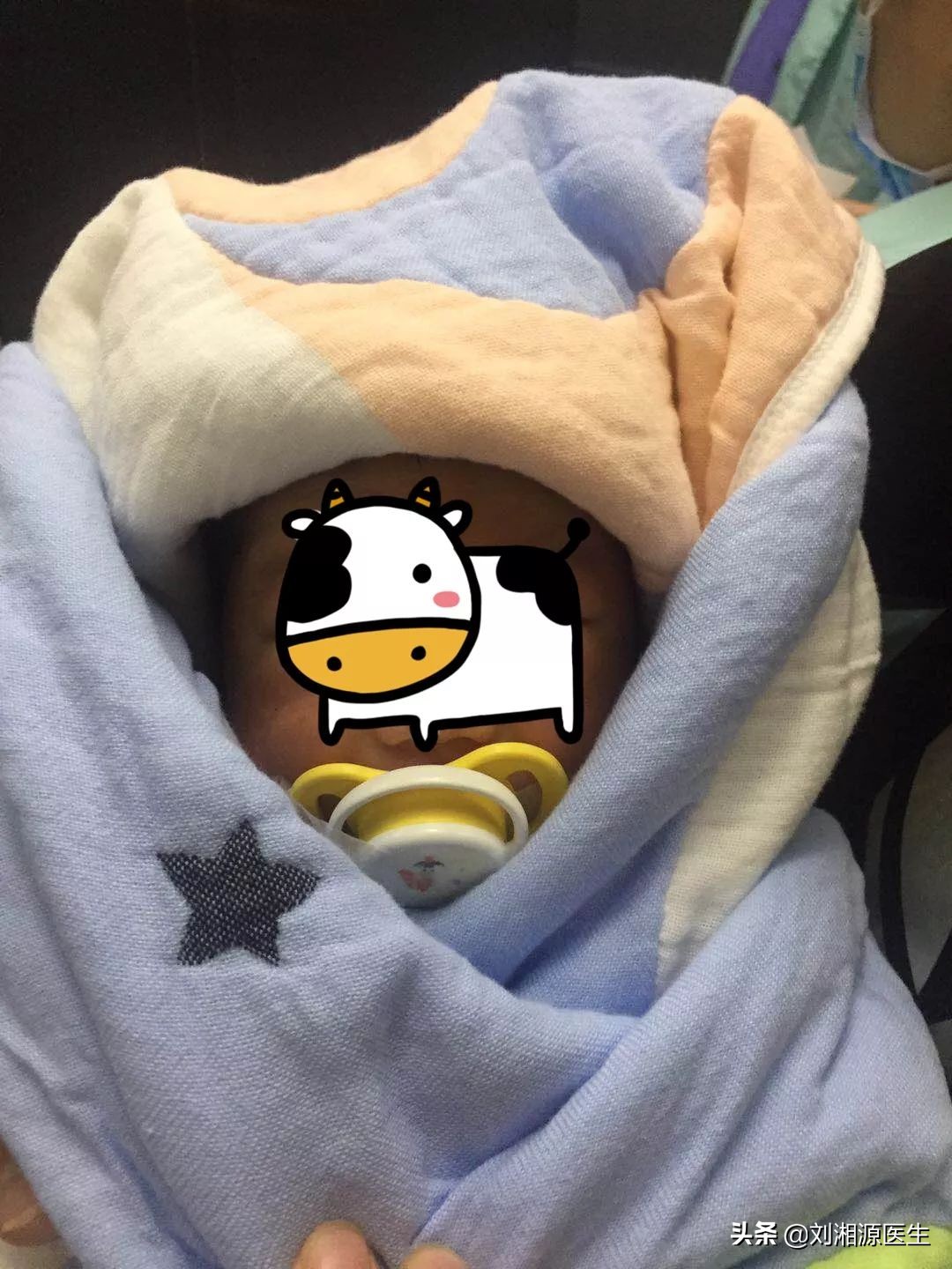 我的故事我来讲怎么写一年级,漫漫求子路坚持努力就有好的结果