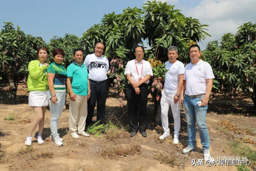 水果大王们生意经,水果生意经