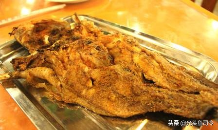 短短30年，从街边美食，到臭名昭著，埃及塘虱鱼经历了什么？