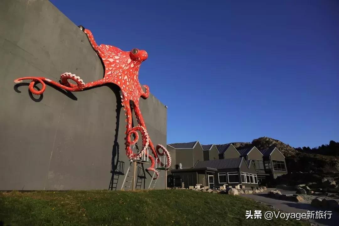 真人版“维京村庄”在哪里？除了农场还有冰川和山妖传说等你去解锁