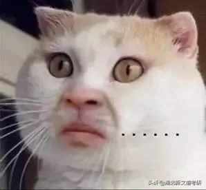 工科就业前景最好的十大专业排名,就业率最差的十个专业