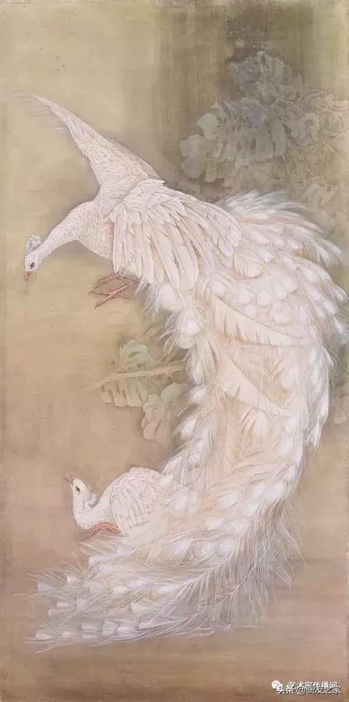 工笔孔雀上色步骤详解,工笔最顶级逼真孔雀画精品