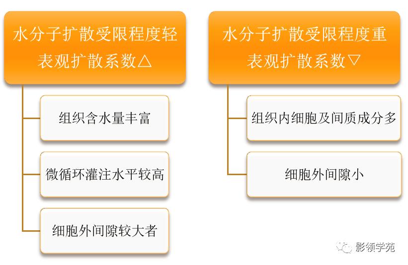 宫颈癌mri诊断,宫颈癌的mr扫描技术
