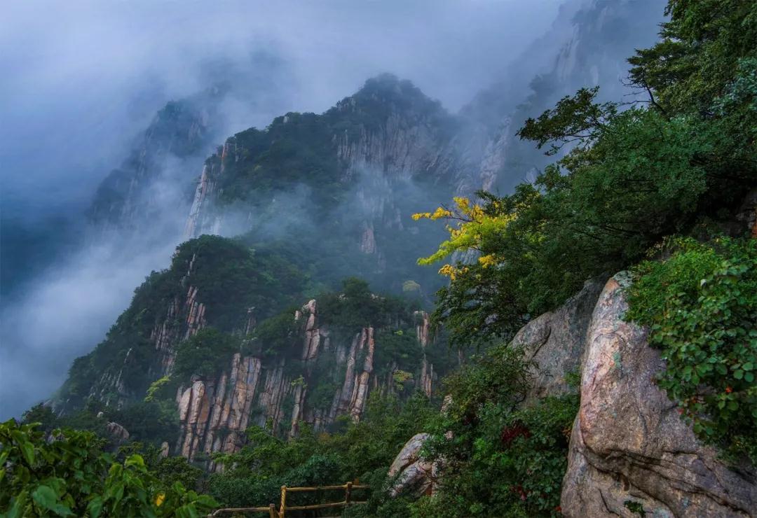 全国林草生物多样性保护成就展,林业生物多样性保护