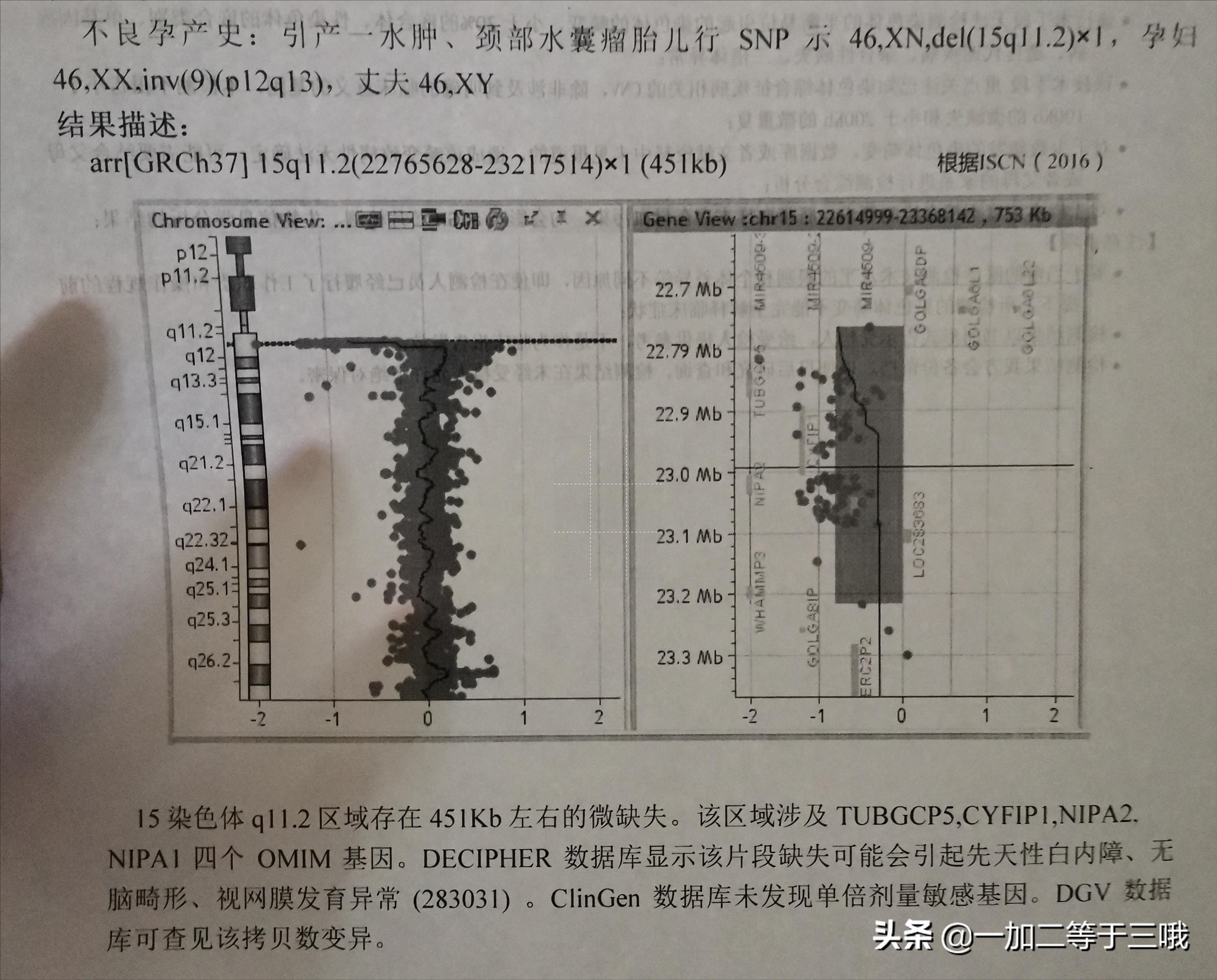 分享自身经历的孕期奇迹,回忆自己怀孕的艰辛