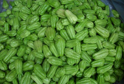 外形特殊被炒作，市场上卖十元一斤，农民却销售无门，问题在哪里