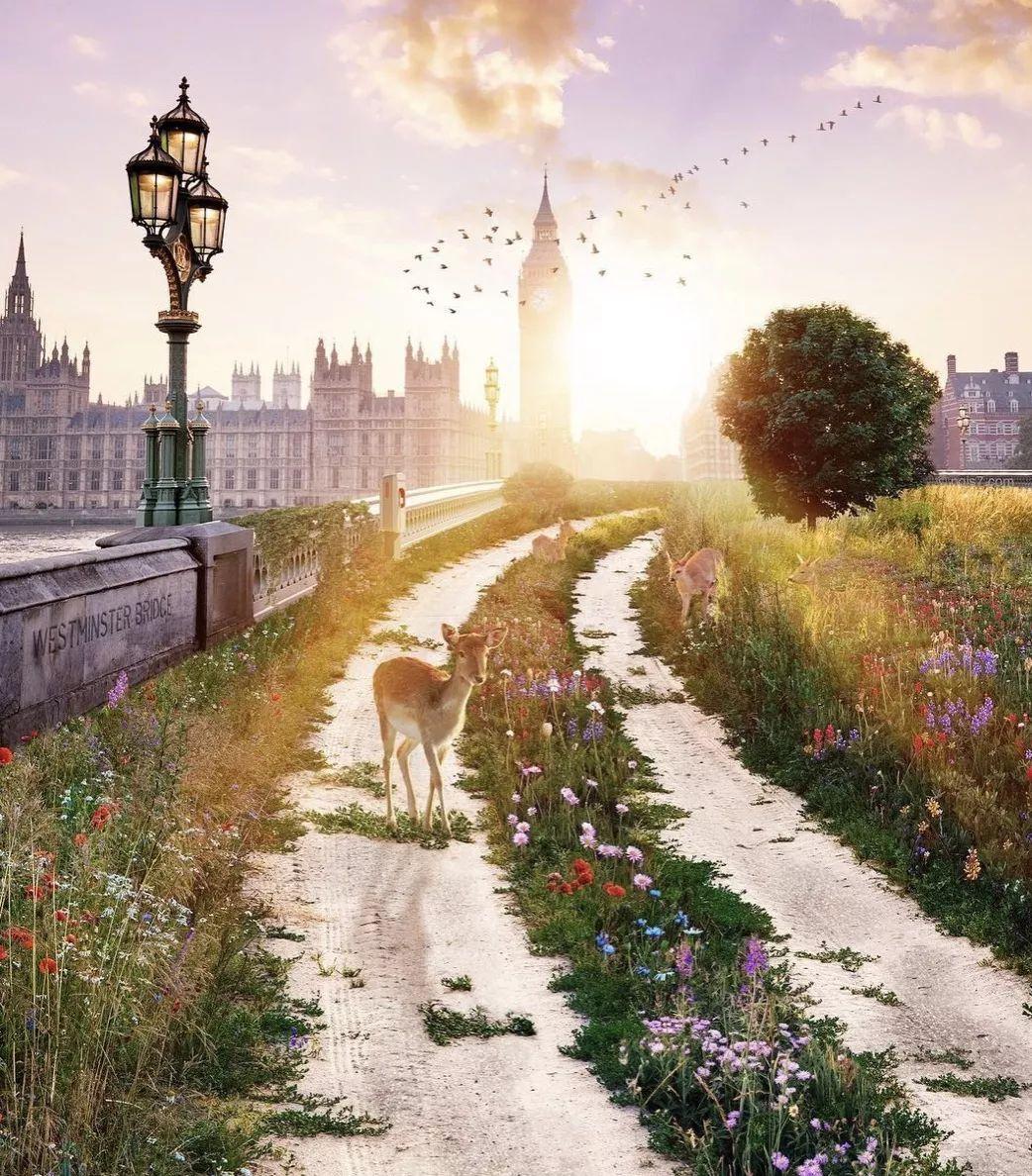 艺术摄影修图,艺术拍照修图