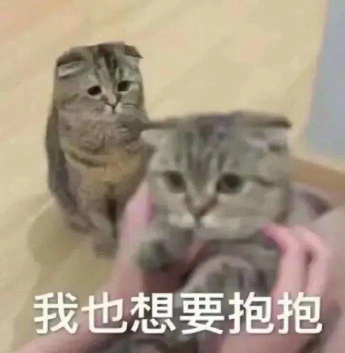 安慰人的表情包动态图片,女生生理期安慰表情包