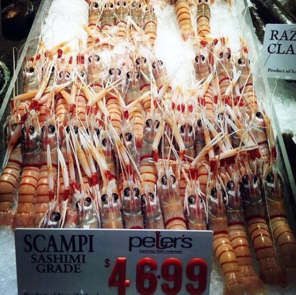 国人在澳洲生活后感慨：穷人的天堂，富人的安乐窝！果然名副其实