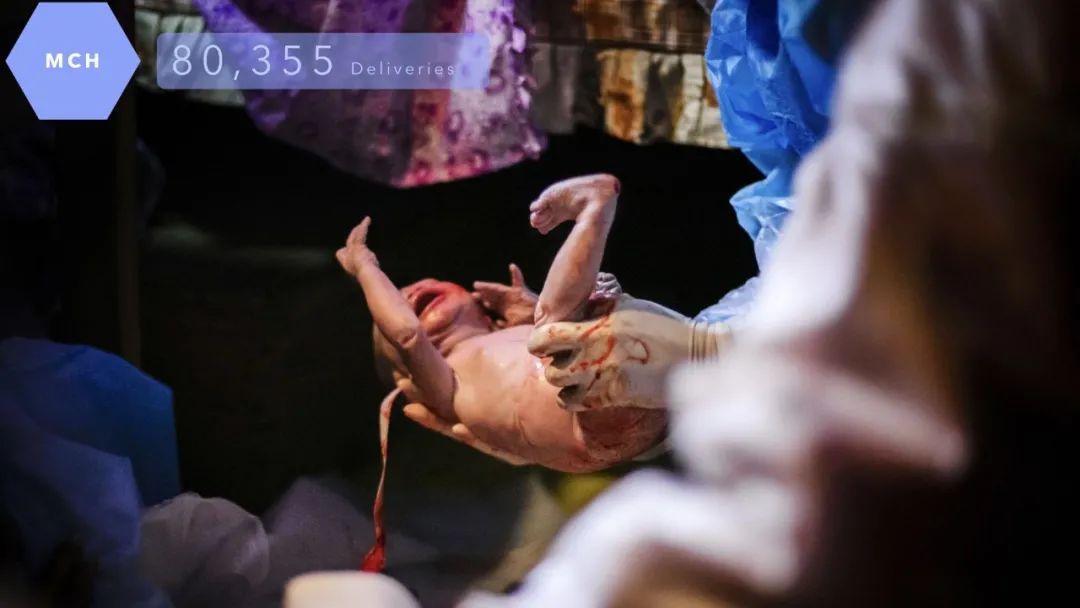 张军检查防疫,张军防疫