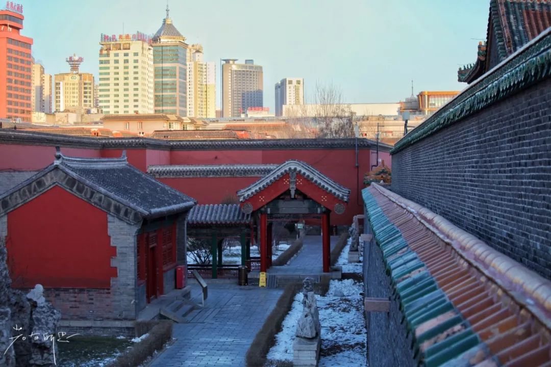 机票不到800元，第2次东北沈阳之旅，1个鸡架配老雪！