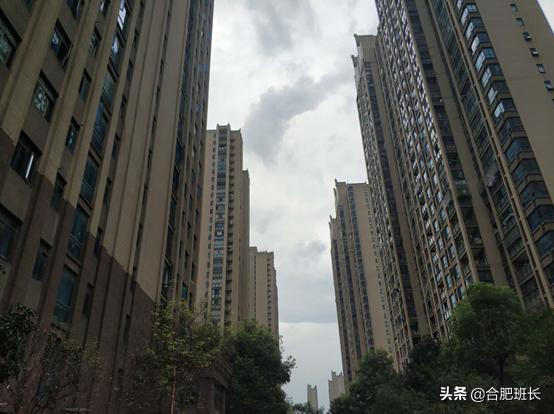 合肥滨湖学区房最新价格,合肥滨湖cbd学区房