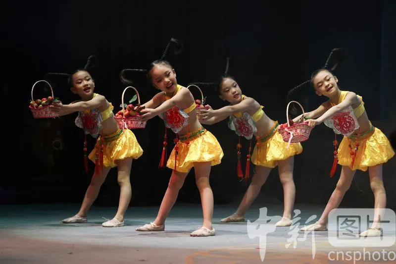 探讨湾区的未来,洞见湾区大未来