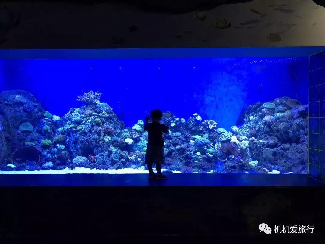 珠海和广州长隆旅游攻略,珠海长隆乐园游玩攻略