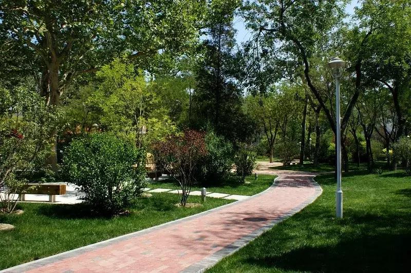 寸土寸金公园,天津值得一去的公园