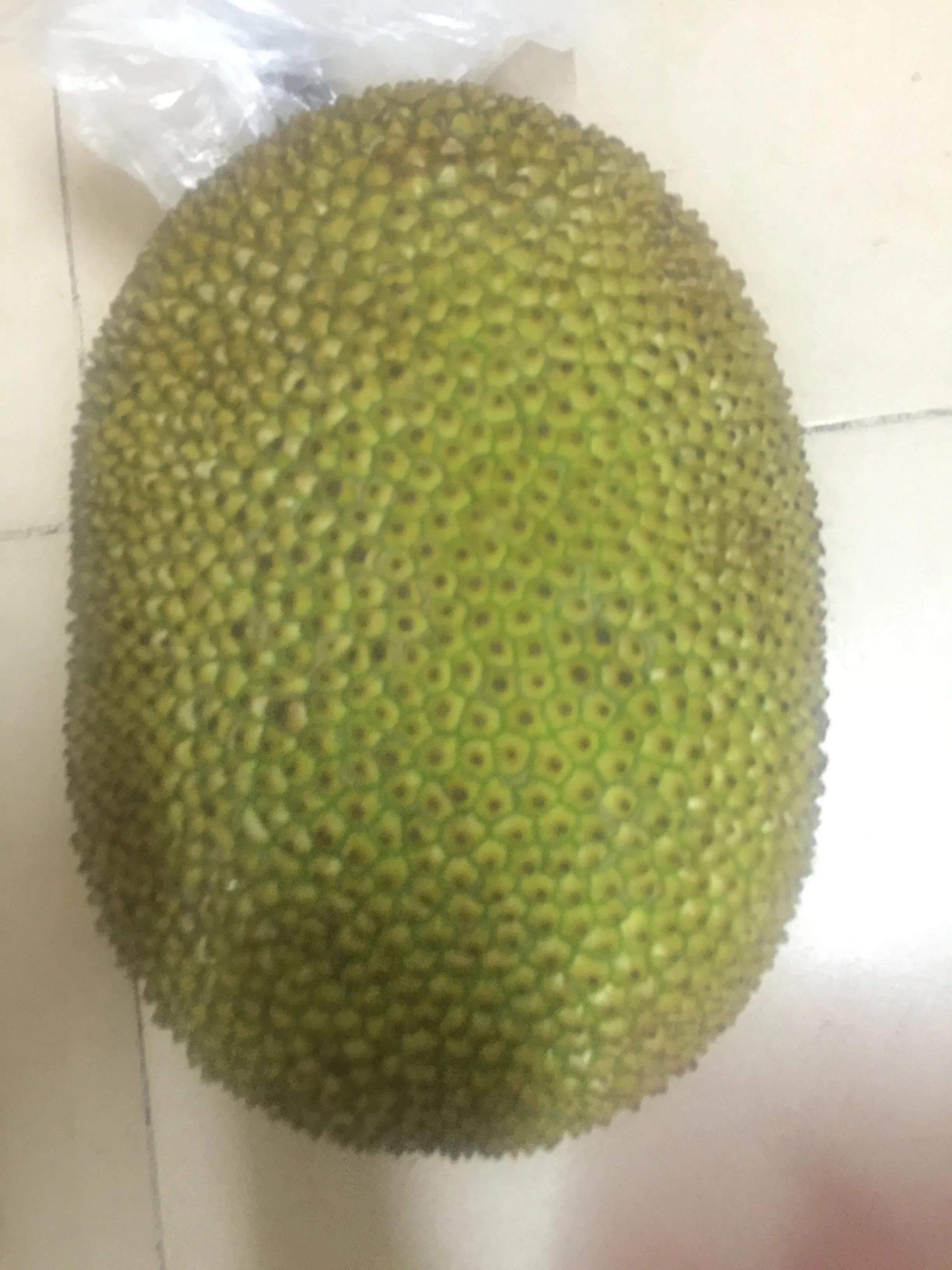 菠萝蜜开剥全过程,菠萝蜜现场开剥标识