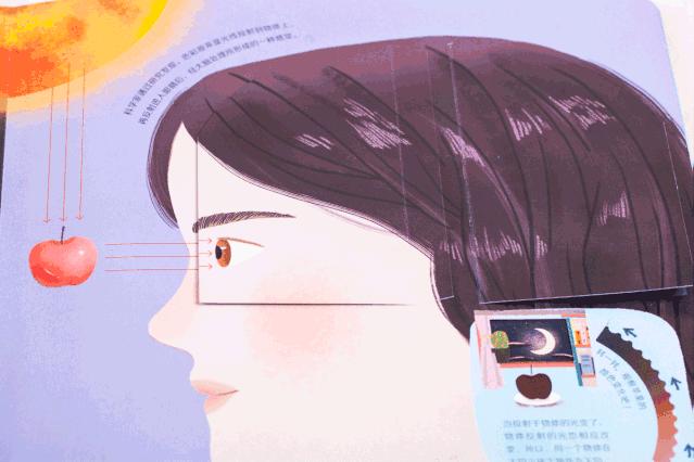 中国股票红色绿色代表什么,股市绿色和红色代表什么意思