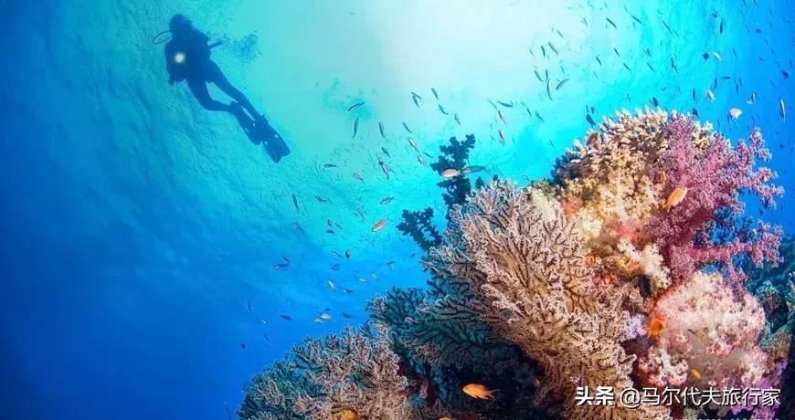 马尔代夫娇丽岛攻略,马尔代夫娇丽岛方案