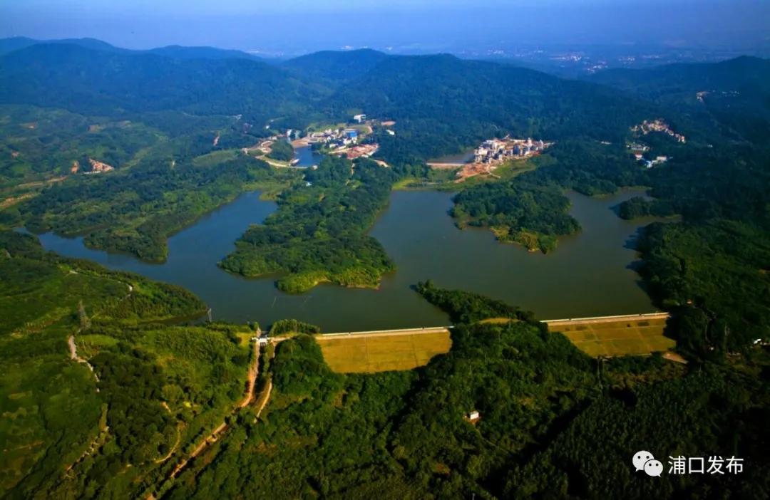 浦口花,南京看花的地方浦口