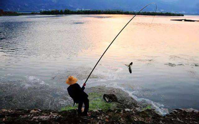 钓鱼是长竿好还是短竿好,为什么竿子越长越好钓