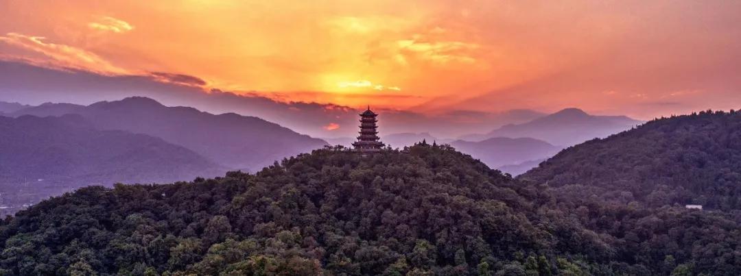 青城丹道内气外放,青城丹道陈至中