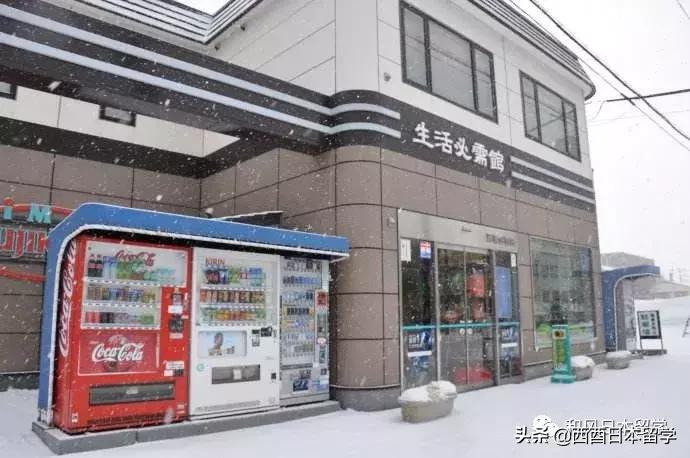 日本昆虫拉面自助售卖机,日本活体昆虫自助售卖机