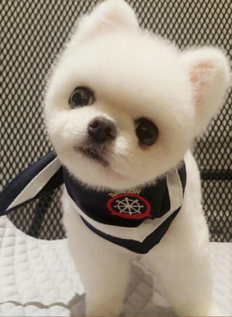 letsgo带你去兜风,letsgo旅行视频