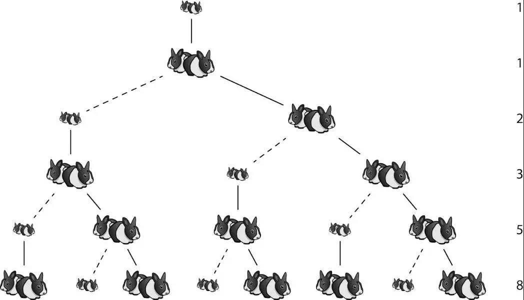 澳洲兔子为什么这么厉害,澳洲兔子是怎么泛滥的