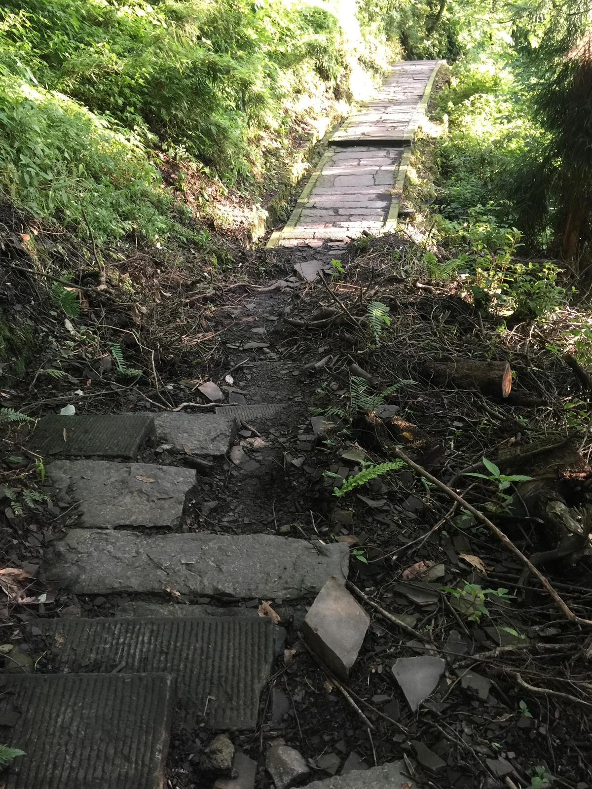 峨眉山登顶佛像,峨眉山登顶记完整版