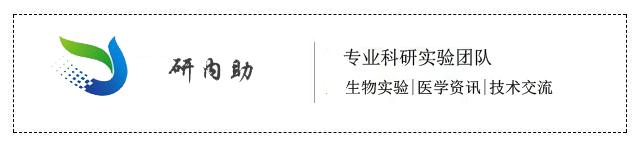 槲皮素对治疗肺部疾病有效果吗,槲皮素的抗炎免疫及部分机制研究