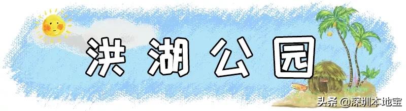 深圳有哪些地方免费景点,深圳都有什么景点免费游玩