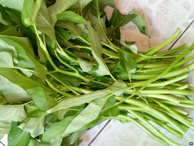 种植空心菜弊端有哪些问题,种植空心菜要注意什么