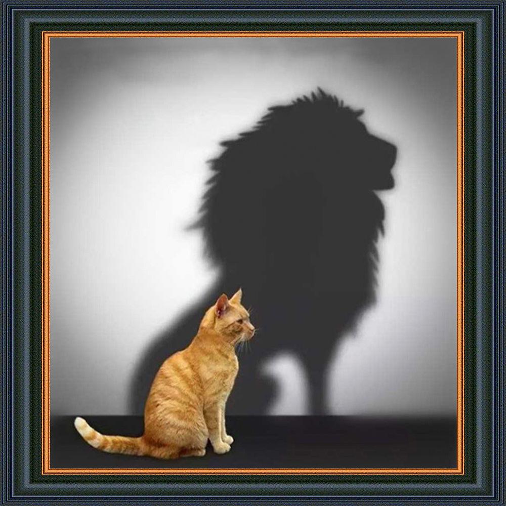 走出人生低谷的36个心理技巧书,心理学学生如何度过人生低谷期