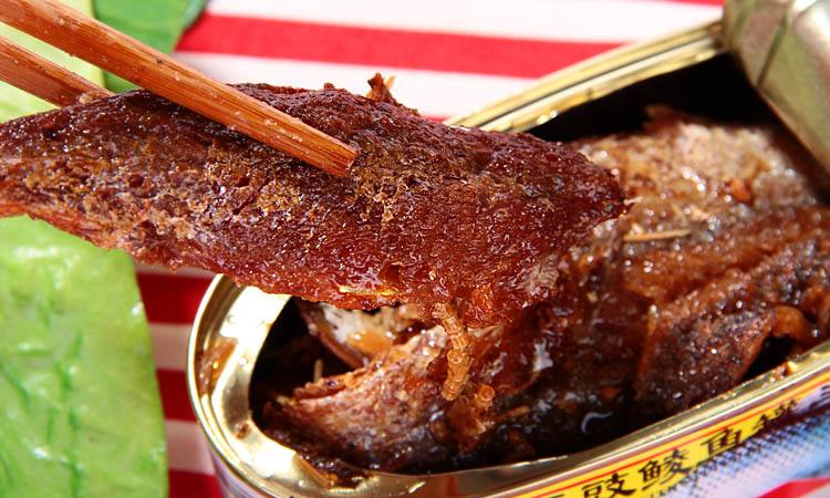 鲮鱼怎么钓才好吃,钓土鲮视频土鲮鱼好吃吗