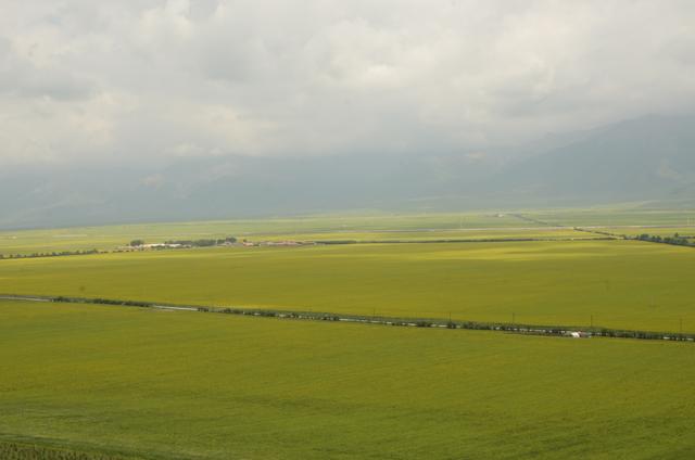 增值税会计科目和分录,增值税会计做账
