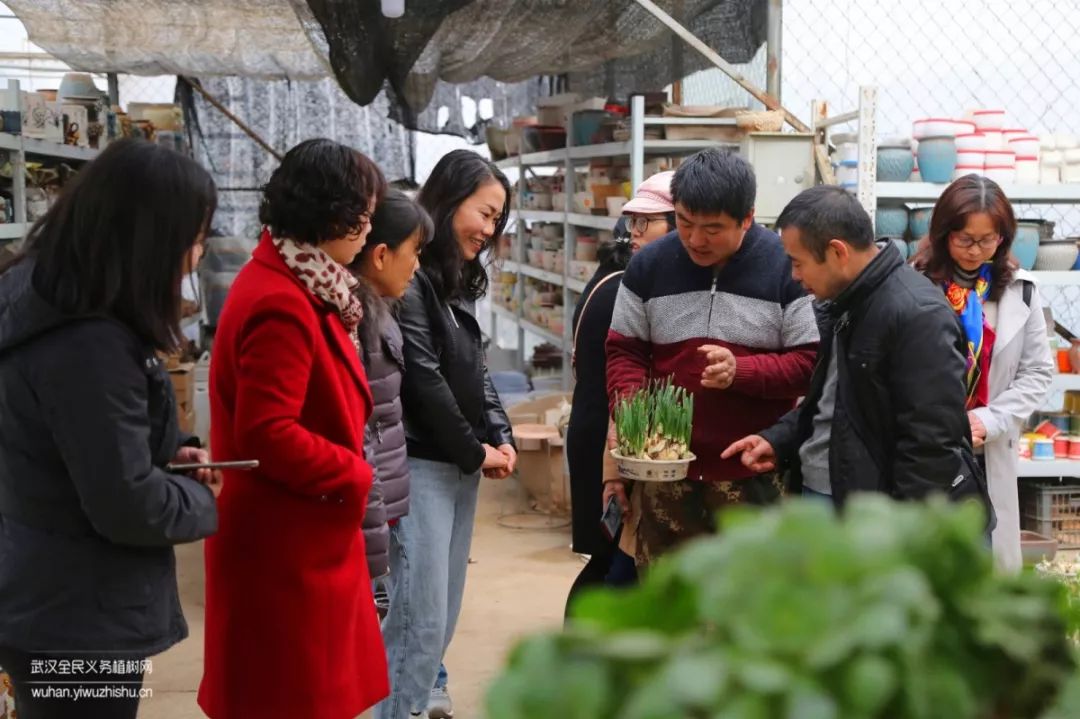 园艺沙龙|前方高能！一大波人相约逛花市，究竟淘了些啥？