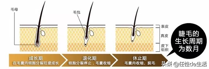 没有睫毛膏怎么化妆好看,化妆不画眼影和睫毛膏好看吗