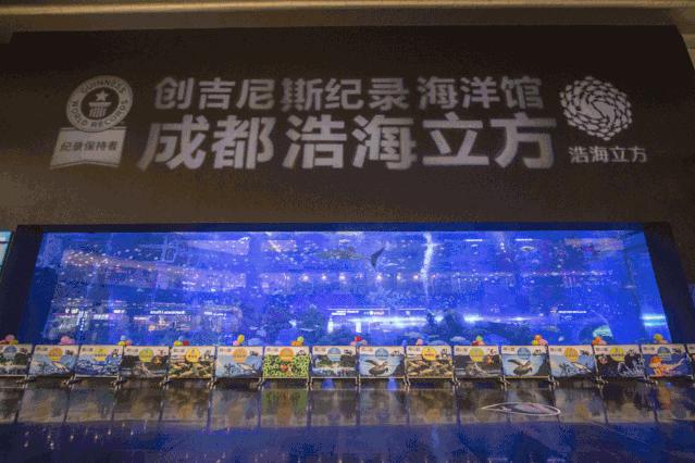 成都海洋馆浩海立方奇幻之旅,成都浩海海洋立方馆和海洋世界