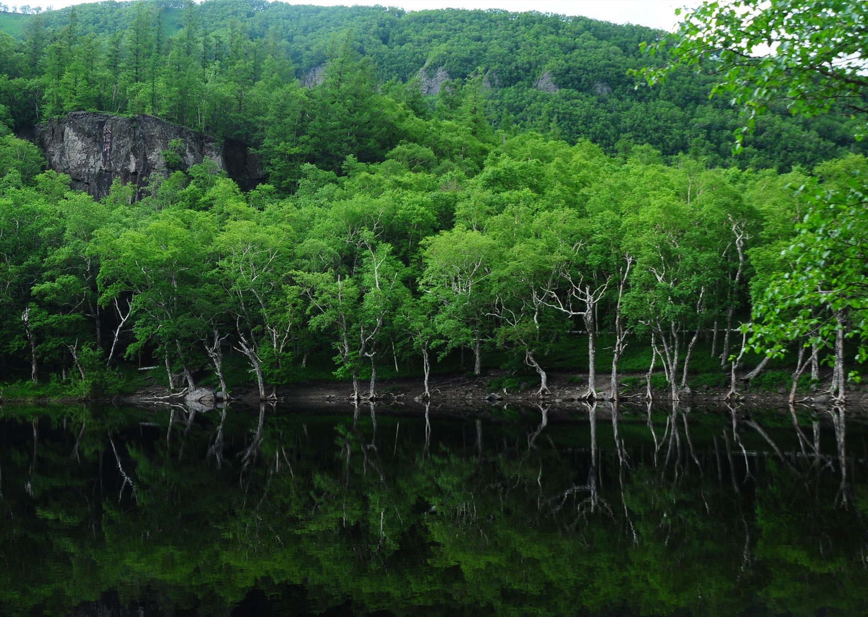 中国五大产蜜地是哪里,中国十大蜜源植物是哪些